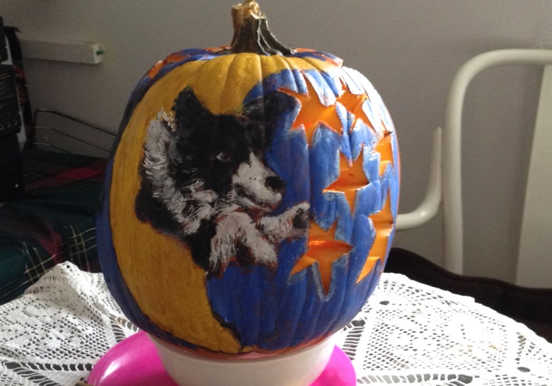 Halloween2013-Sheba  through the Moon2